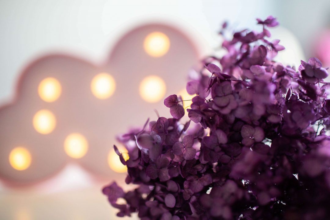 Lampa w kształcie chmury z fioletową rośliną